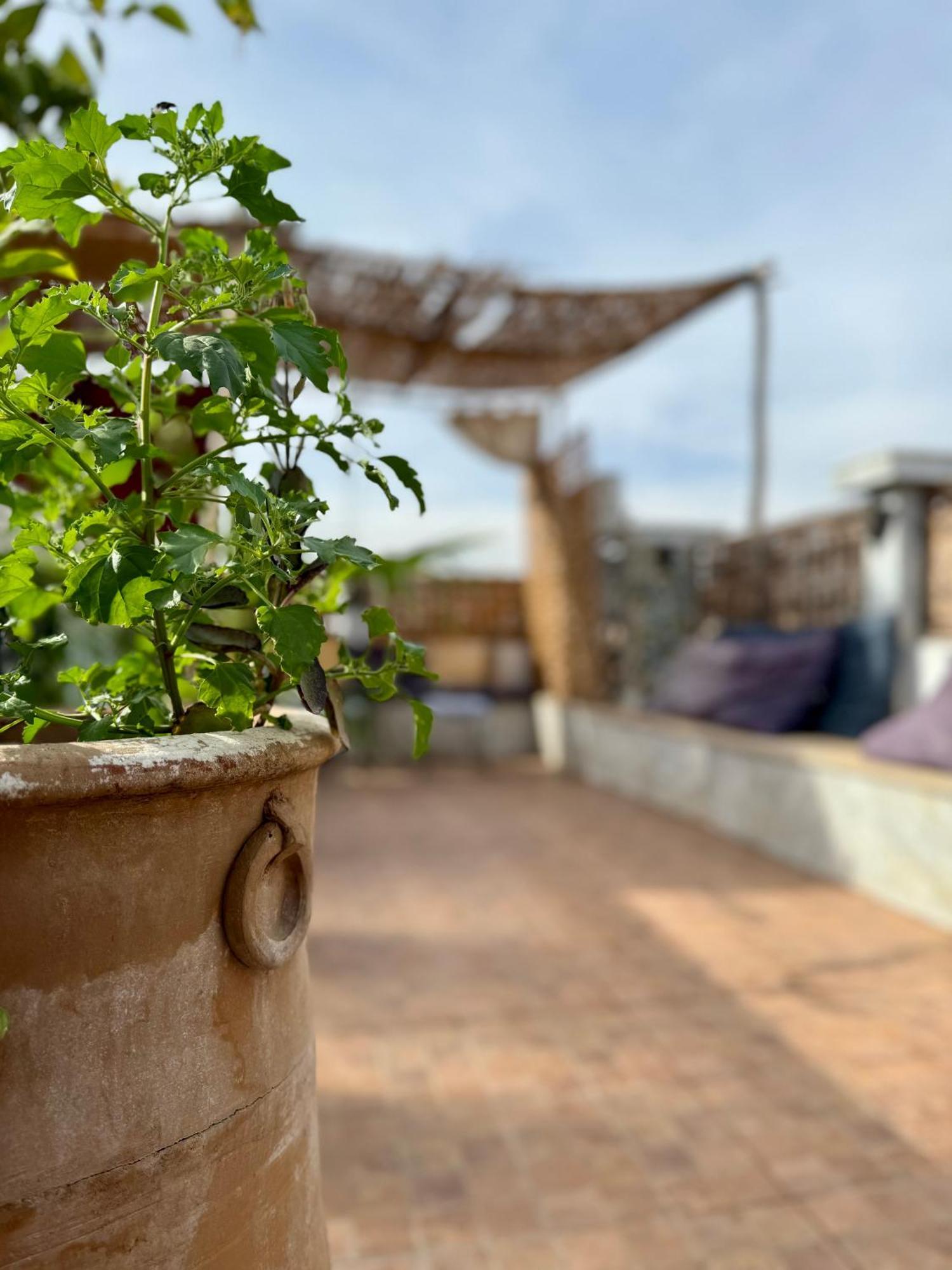 Riad Flottement Des Songes Marraquexe Exterior foto